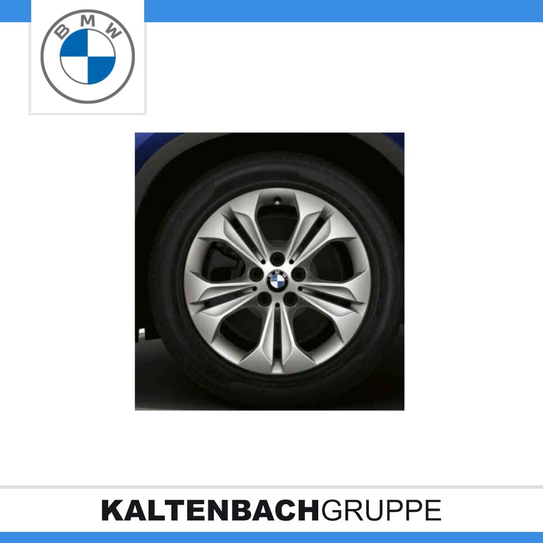 Doppelspeiche 564.jpg